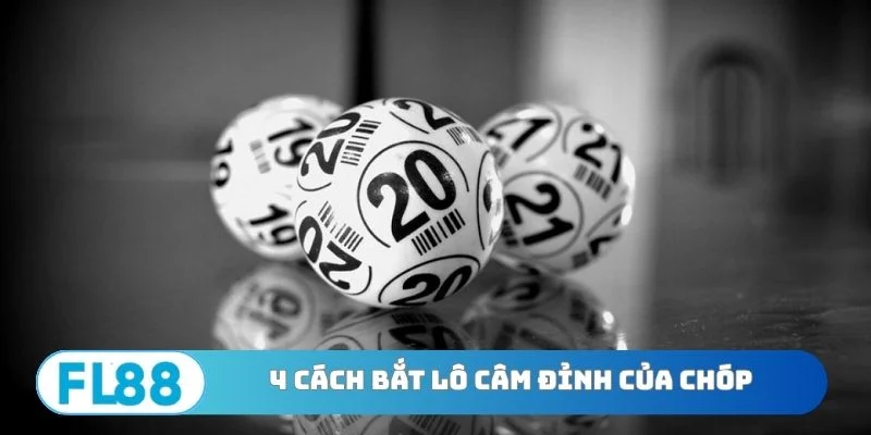Top 4 Cách Bắt Lô Câm Hiệu Quả - Đổi Đời Sau 6 Giờ - BETNORA96