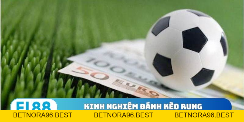 Kinh Nghiệm Đánh Kèo Rung Đỉnh Từ Chuyên Gia Lão Làng - BETNORA96