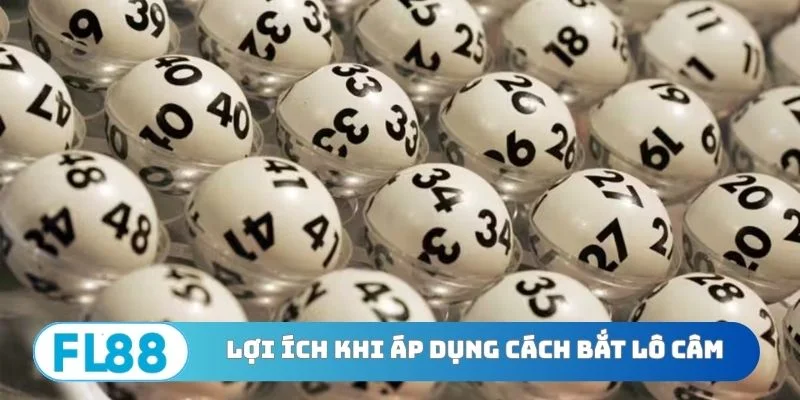 Top 4 Cách Bắt Lô Câm Hiệu Quả - Đổi Đời Sau 6 Giờ - BETNORA96
